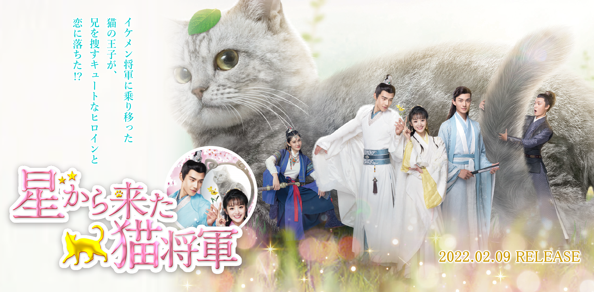 中国ドラマ「星から来た猫将軍」DVD-BOX オフィシャルサイト | Just